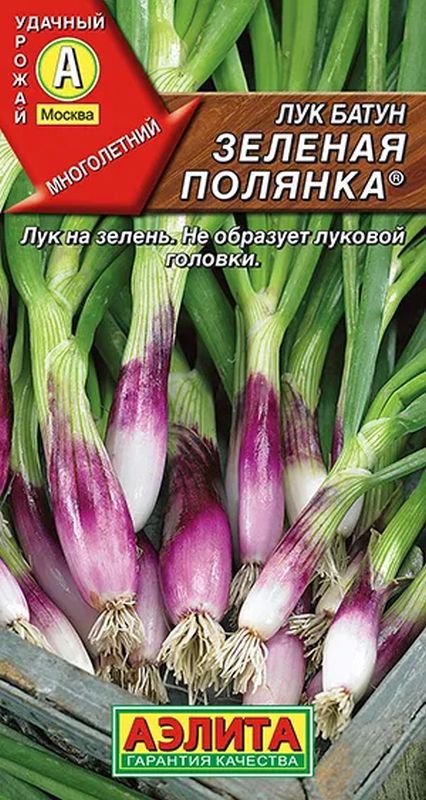 

лук батун зеленая полянка ® семена, лук батун зеленая полянка ® семена купить