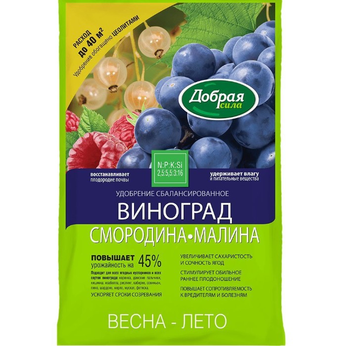 Основные особенности культуры