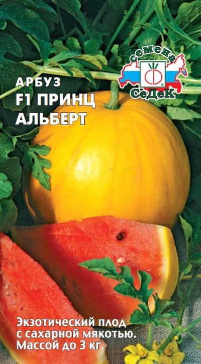 Семена Арбуз F1 Принц Альберт: описание сорта, фото - купить с доставкойили почтой России