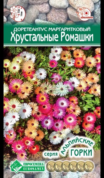 

доротеантус маргаритковый хрустальные ромашки семена, доротеантус маргаритковый хрустальные ромашки семена купить