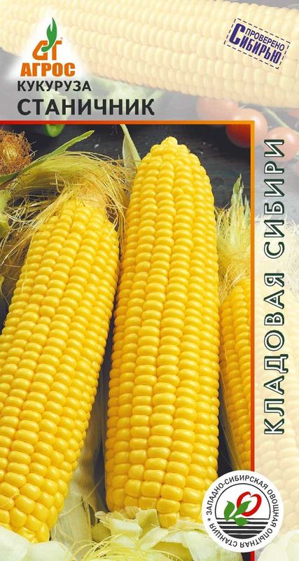 

кукуруза станичник семена, кукуруза станичник семена купить