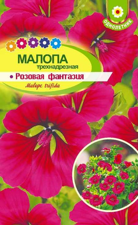 Малопа Розовая фантазия
