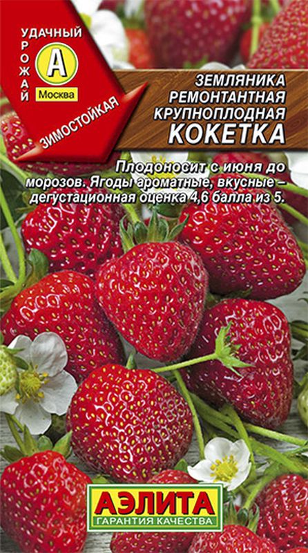 

земляника крупноплодная кокетка семена, земляника крупноплодная кокетка семена купить