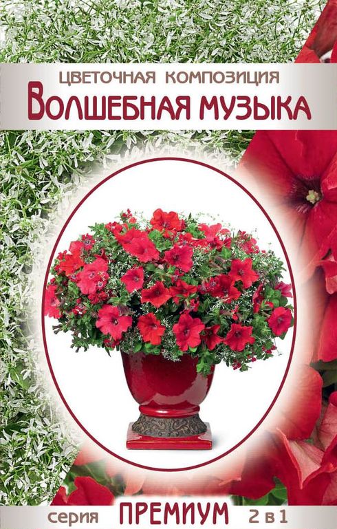 

цветочная композиция волшебная музыка семена, цветочная композиция волшебная музыка семена купить
