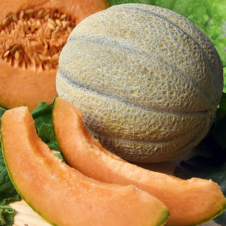 Высокая урожайность