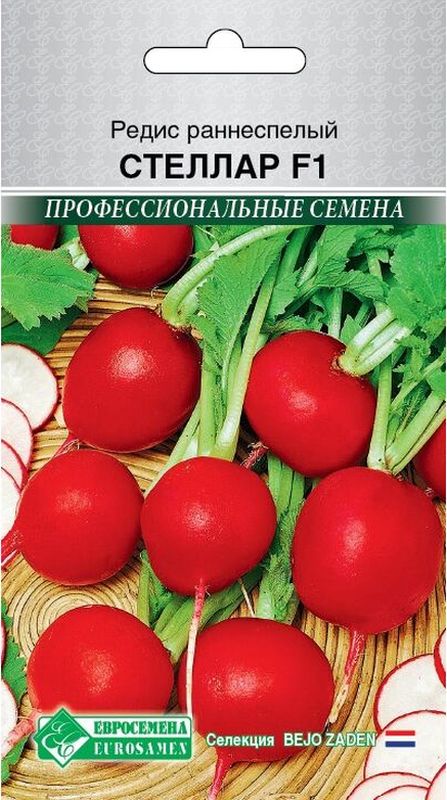 

редис стеллар f1 семена, редис стеллар f1 семена купить