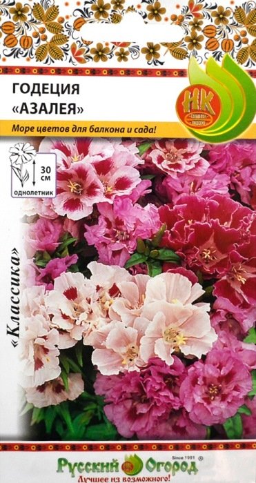 Годеция Азалея, смесь