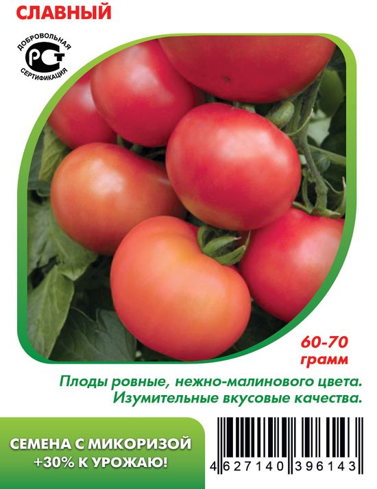 

томат славный семена, томат славный семена купить