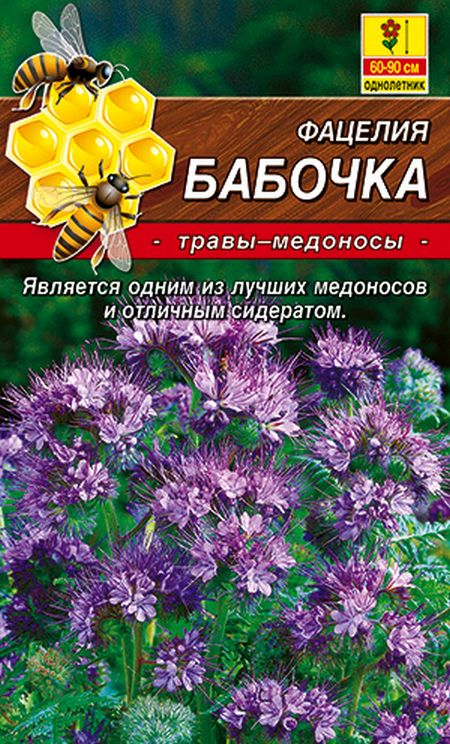 

фацелия бабочка семена, фацелия бабочка семена купить