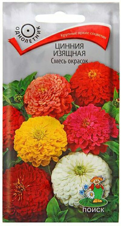 Цинния изящная Смесь окрасок
