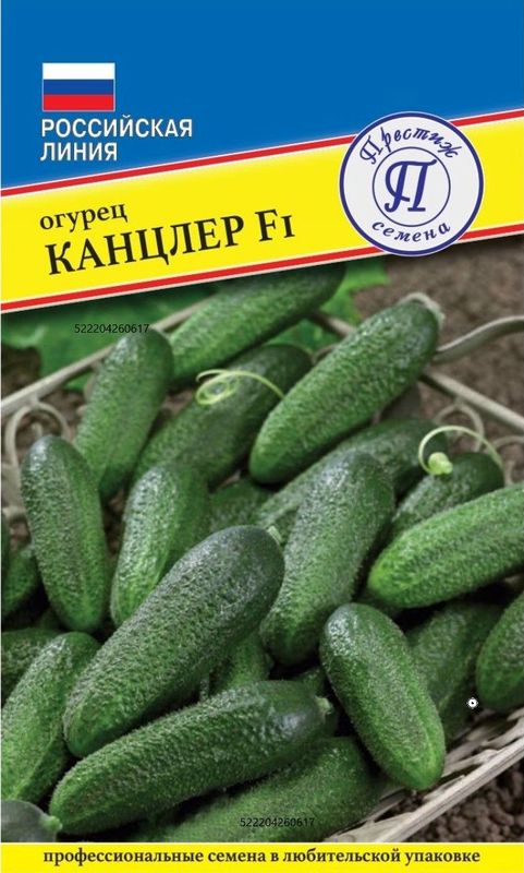

огурец канцлер f1 семена, огурец канцлер f1 семена купить
