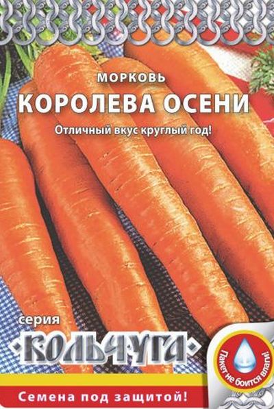 

морковь королева осени "кольчуга new" семена, морковь королева осени "кольчуга new" семена купить