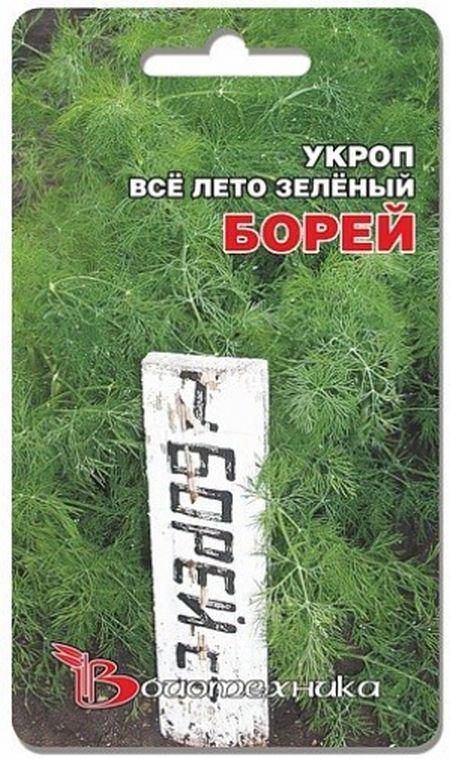 Укроп Борей