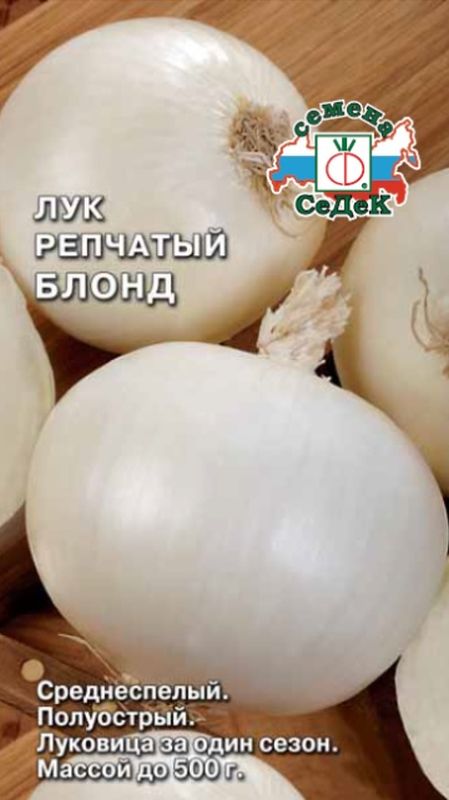 

лук репчатый блонд семена, лук репчатый блонд семена купить