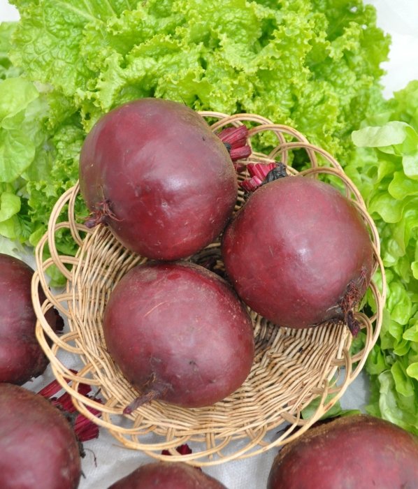 

свекла червона кула семена, свекла червона кула семена купить