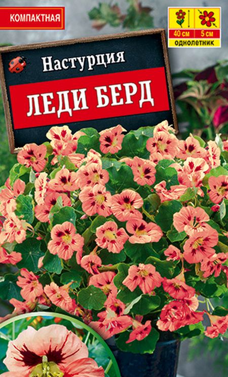 Настурция Леди берд