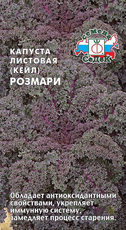

капуста листовая розмари семена, капуста листовая розмари семена купить