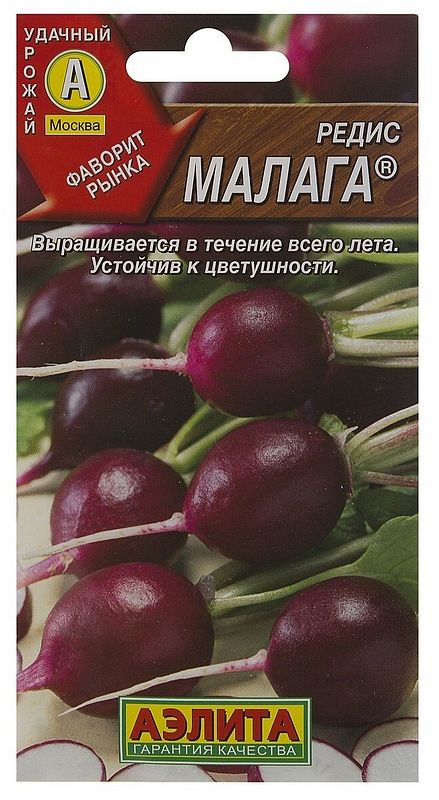 Где Купить Семена Редиса