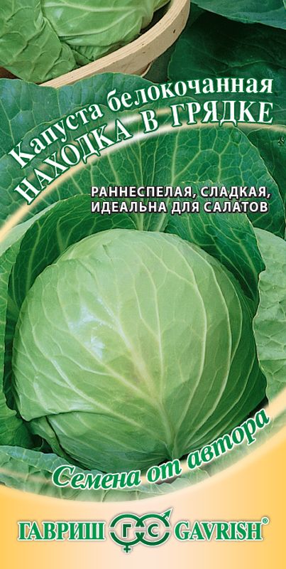 

капуста б/к находка в грядке . семена, капуста б/к находка в грядке . семена купить