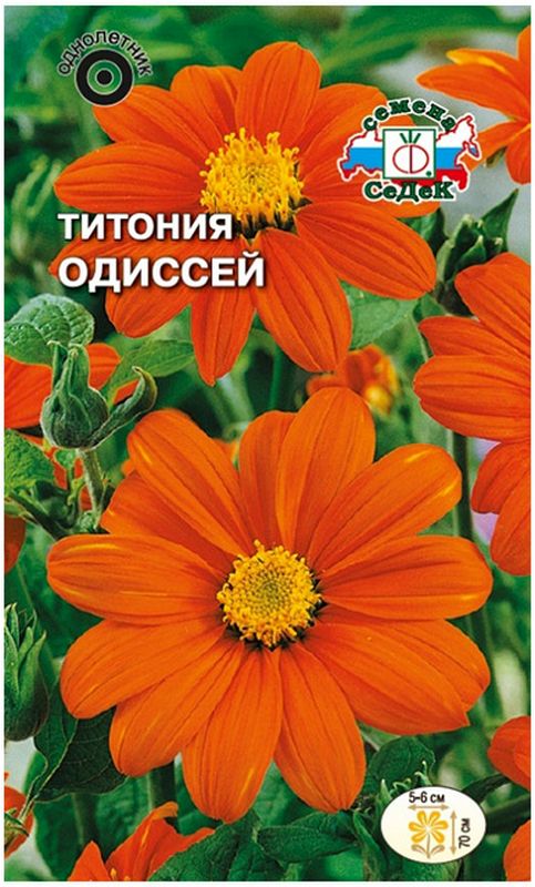 

титония одиссей семена, титония одиссей семена купить