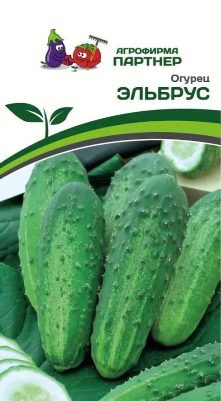 

огурец эльбрус семена, огурец эльбрус семена купить