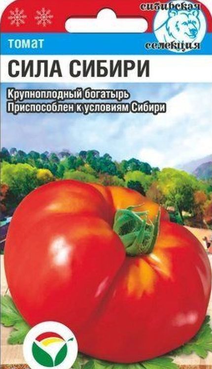 

томат сила сибири семена, томат сила сибири семена купить