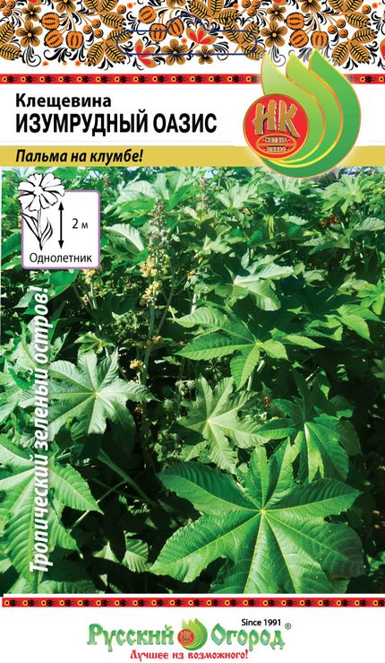 Клещевина Изумрудный оазис