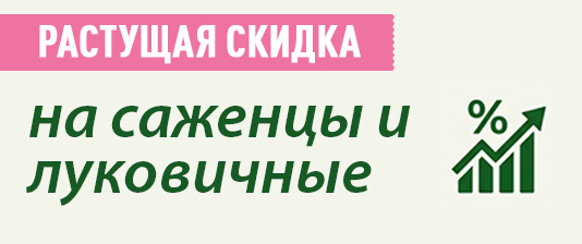 Скидка растёт вместе с заказом!