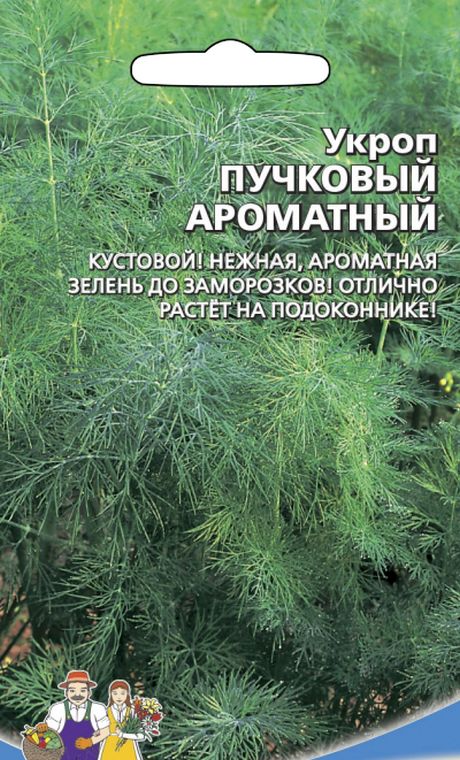 Укроп Пучковый Ароматный