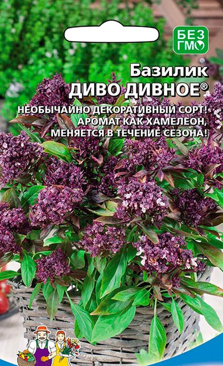 

базилик диво дивное® семена, базилик диво дивное® семена купить