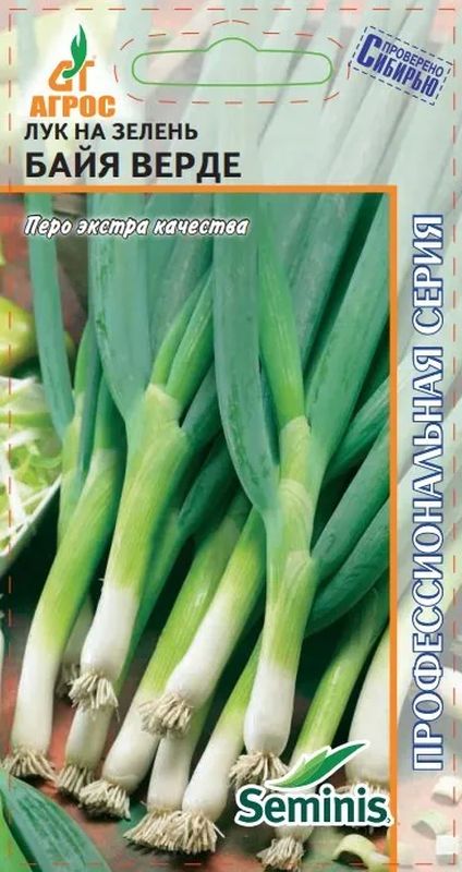 

лук байя верде семена, лук байя верде семена купить