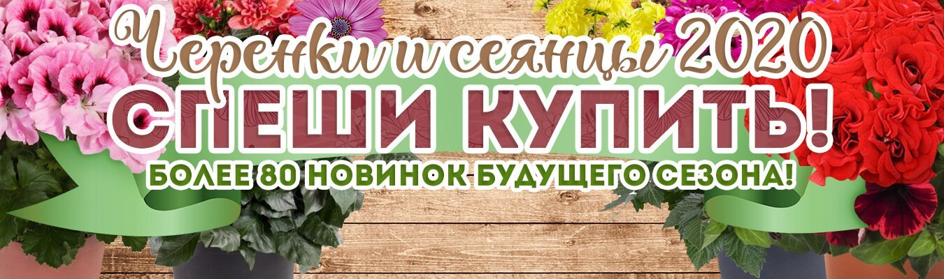 Интернет Магазин Фирмы Аэлита Официальный Сайт Интернет Магазин Фирмы Аэлита Официальный Сайт