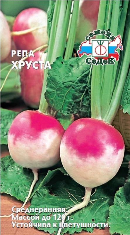 

репа хруста семена, репа хруста семена купить