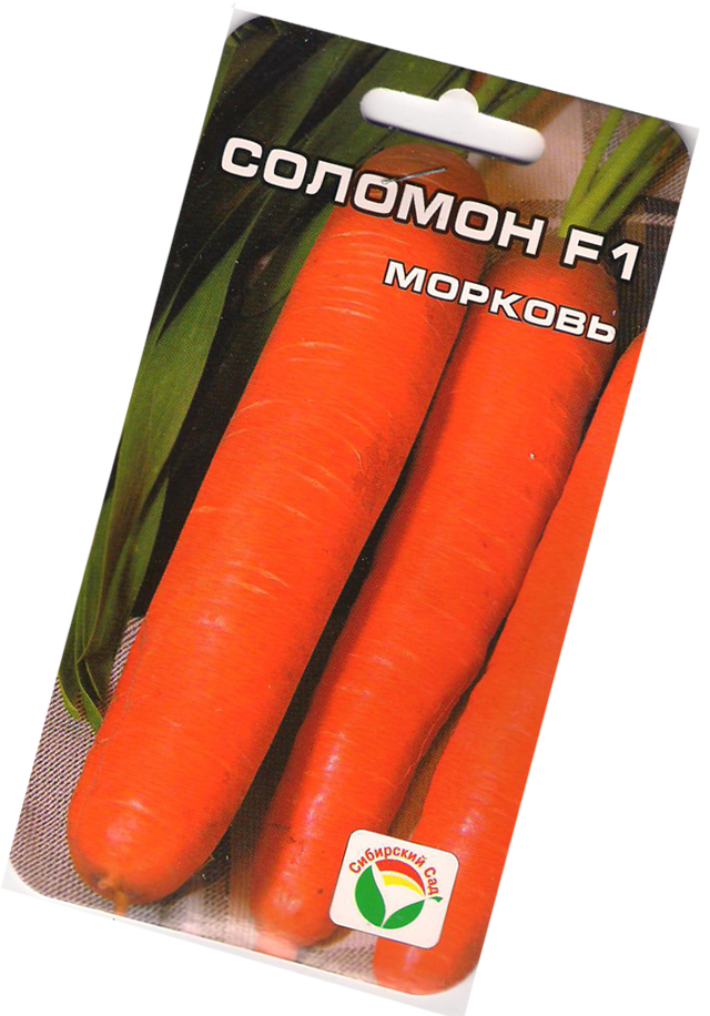 Морковь Соломон: описание и характеристики сорта, правила посадки и выращивания, отзывы