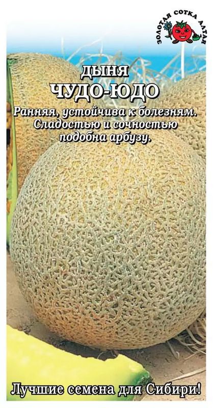 

дыня чудо юдо семена, дыня чудо юдо семена купить
