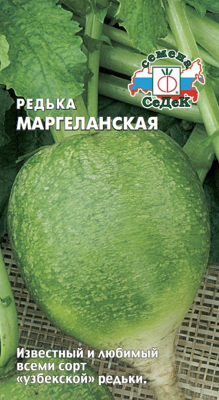 

редька маргеланская семена, редька маргеланская семена купить
