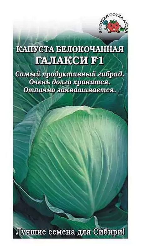 

капуста б/к галакси f1 семена, капуста б/к галакси f1 семена купить