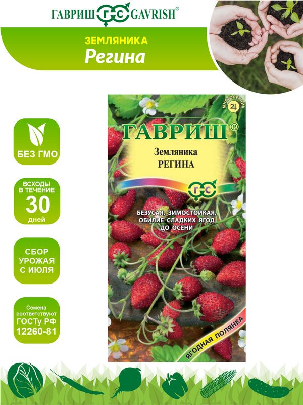 

земляника регина семена, земляника регина семена купить