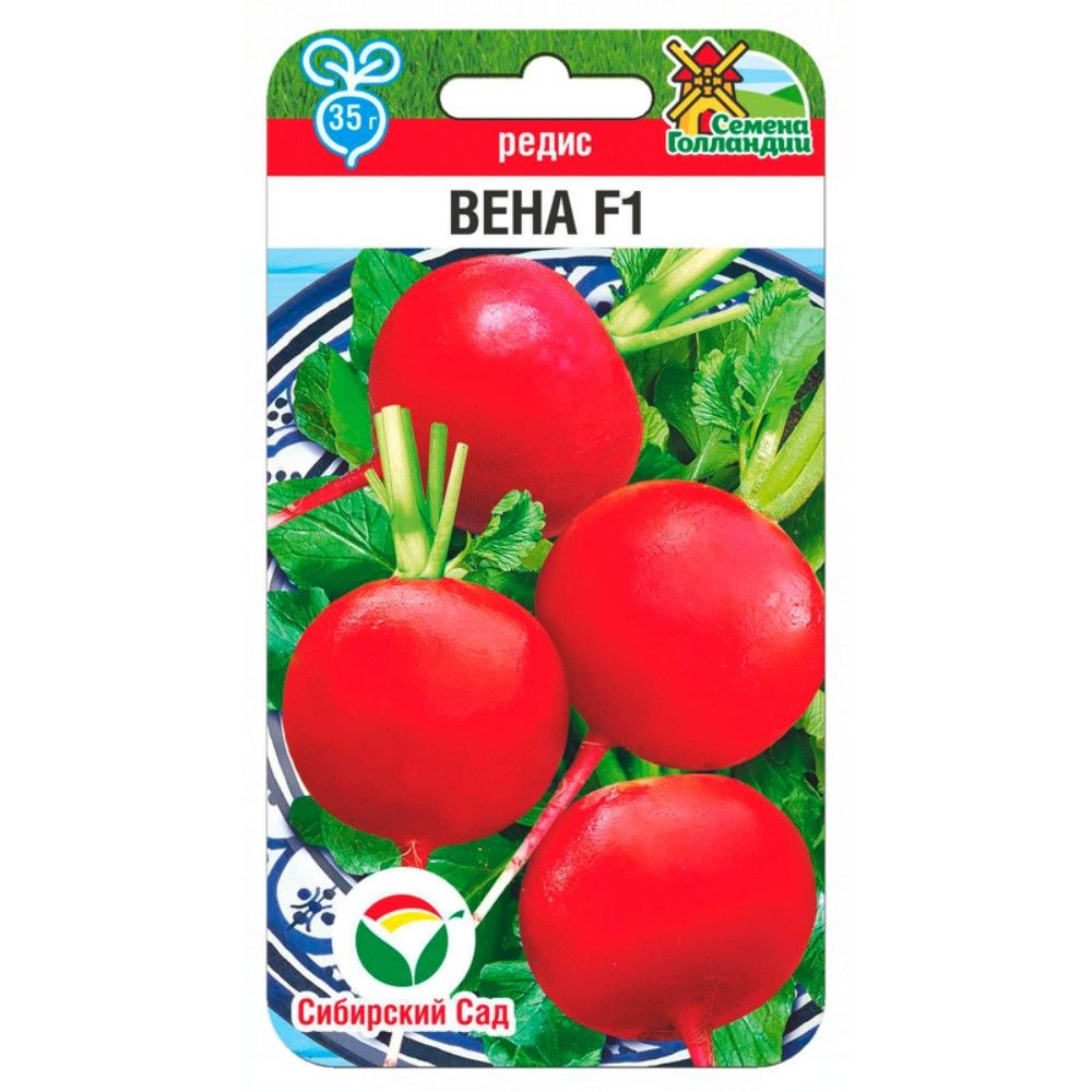 

редис вена f1 семена, редис вена f1 семена купить