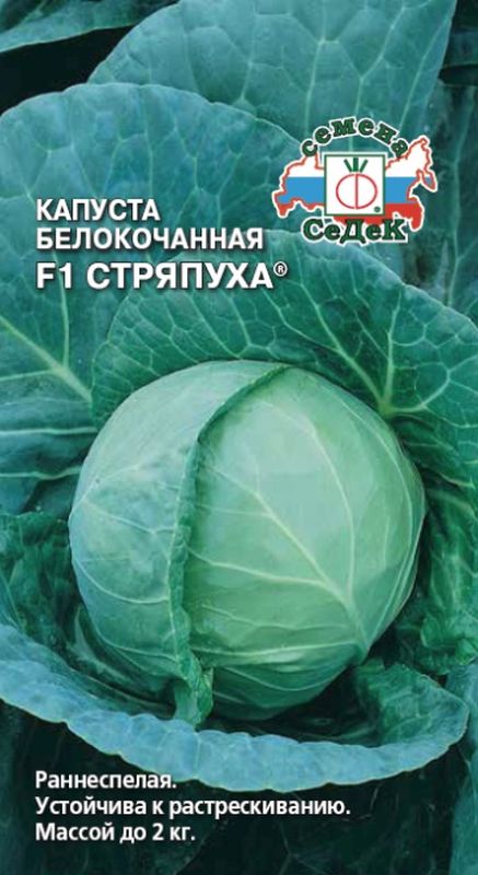 

капуста б/к f1 стряпуха® семена, капуста б/к f1 стряпуха® семена купить