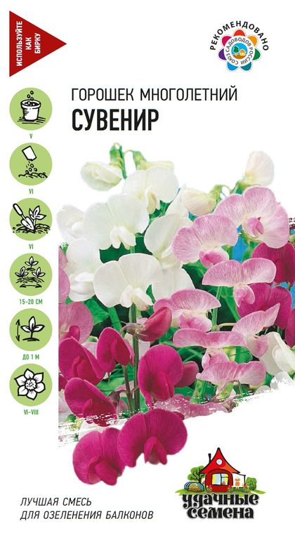 Горошек Сувенир