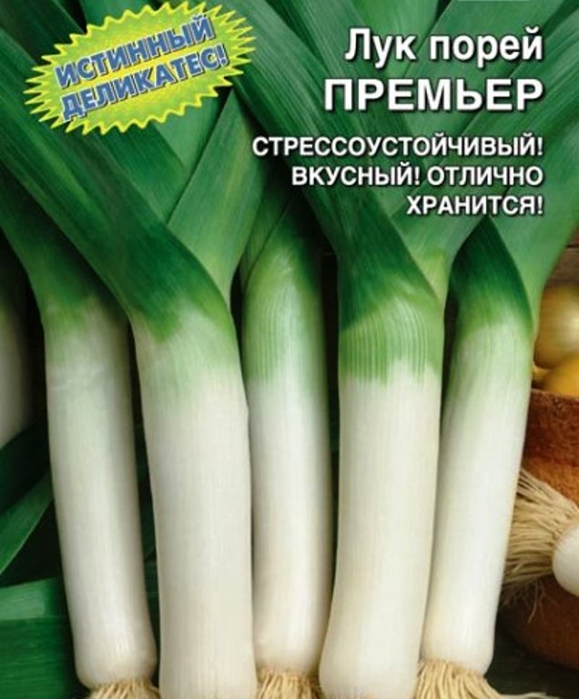 

лук порей премьер семена, лук порей премьер семена купить