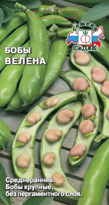 

бобы велена семена, бобы велена семена купить