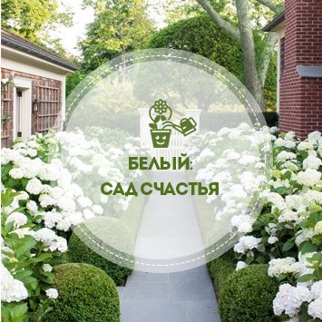 Белый: сад счастья!