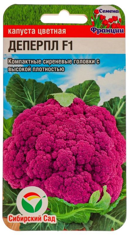

капуста цветная деперпл семена, капуста цветная деперпл семена купить