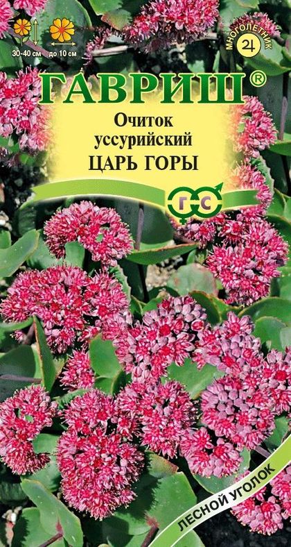 Очиток Царь горы