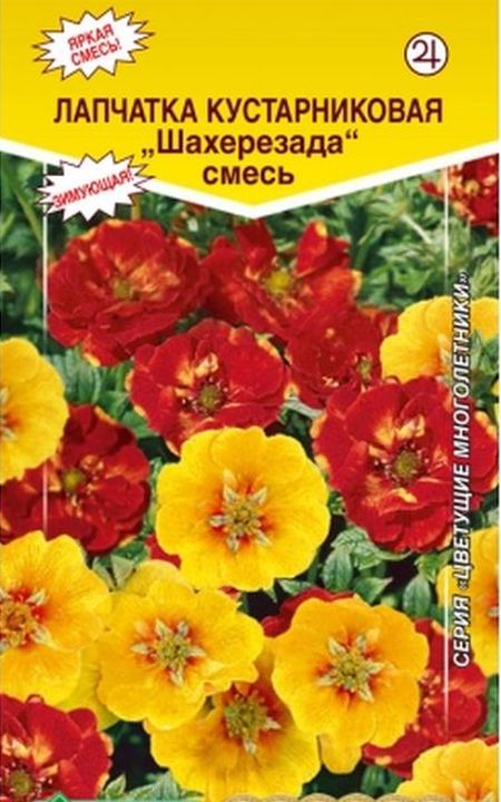 Лапчатка кустарниковая Шахерезада, смесь