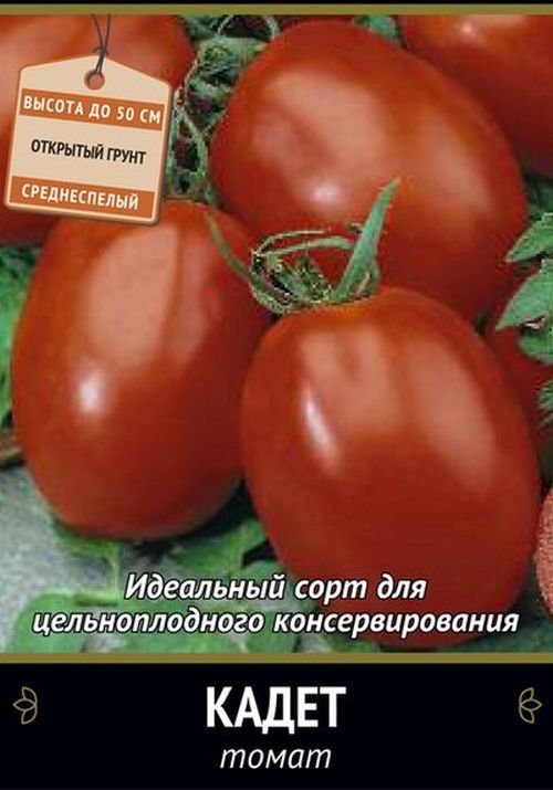 

томат кадет семена, томат кадет семена купить