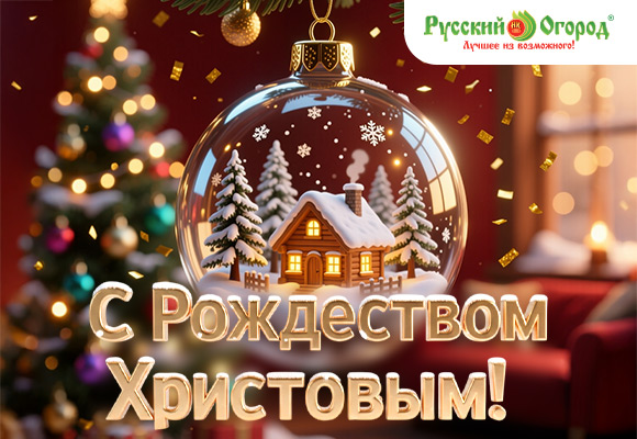 Светлого Рождества!