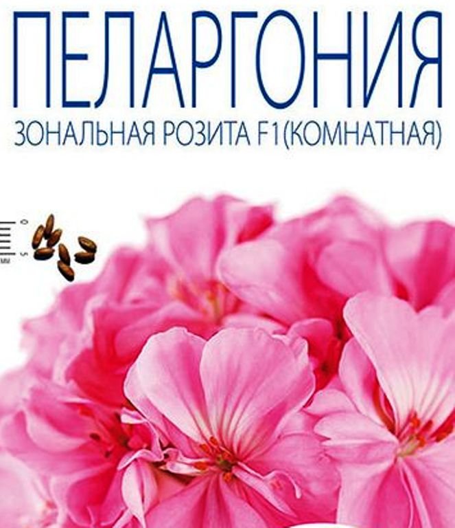 Пеларгония Розита F1 малиновая